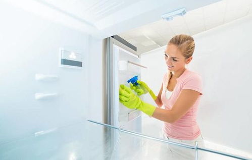 养猫家庭消毒完全指南 安全有效的消毒产品选择与使用